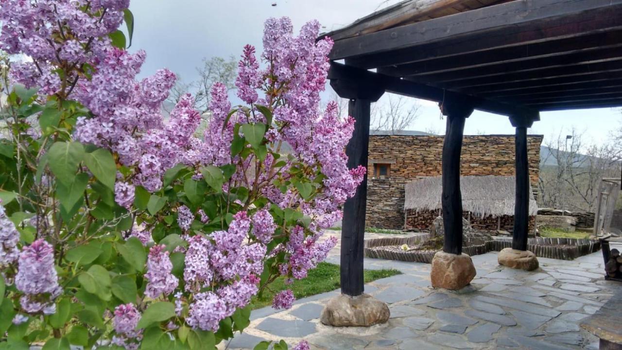 La Era de la Tía Donata Casa de hóspedes Campillo de Ranas Exterior foto